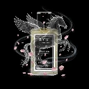 بيجاسوس 1.webp